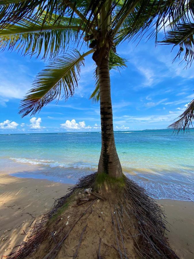 Cozy Beach Apartment Luquillo Kültér fotó